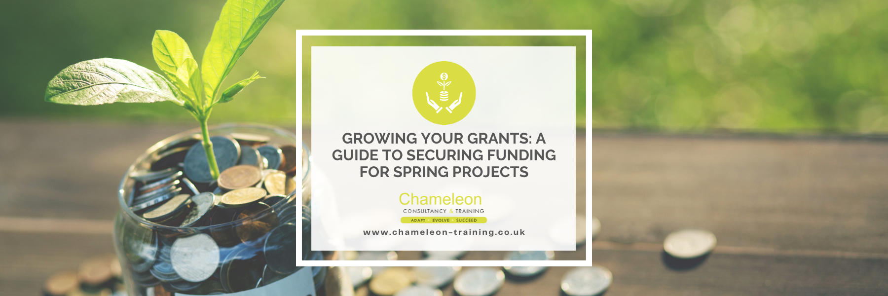 Growing Your Grants: A Guide to Securing Funding for Spring Projects
